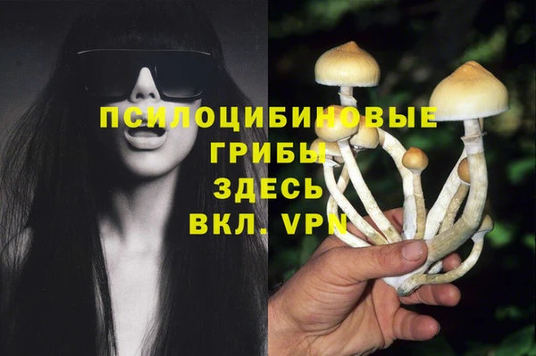спиды Белокуриха