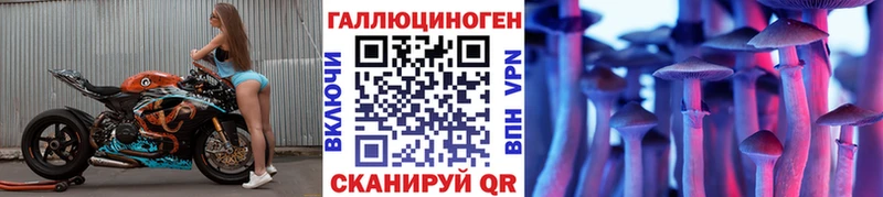Псилоцибиновые грибы Psilocybe  Купить где  Апатиты 